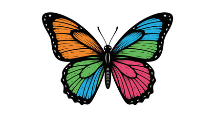 Vibrant Multicolored Butterfly with Detailed Wings
