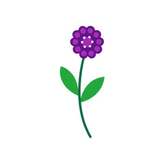 Colorful Verbena Flower Vector Doodle Clipart