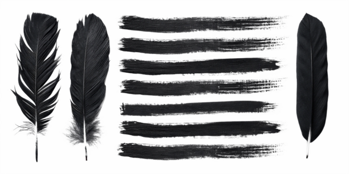 black feathers and paint strokes in a row isolated on a white background