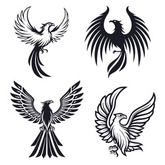 Obraz premium Four elegant phoenix bird designs in black and white for logos and symbolism