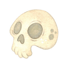 White human skull isolated, cartoon