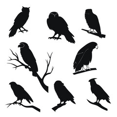 Obraz premium Silhouette collection of various owls perched on branches and standing isolated on white