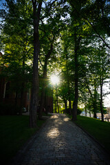 Obraz premium Historic Stone Pathway in Turku Cathedral Courtyard, Finland