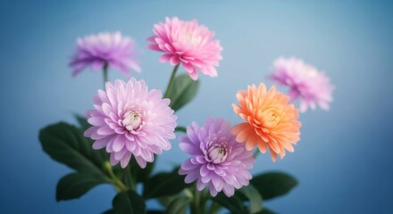 Obraz premium An elegant display of vibrant pastel blossoms with a soft focus, set against a calming blue backdrop. 