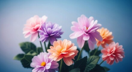 Pretty bouquet of dahlia-like flowers in pastel shades of pink, purple, and orange, against a blue background.
