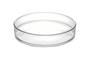 Clear Glass Dish A Cylindrical Vessel isolated on transparent baackground