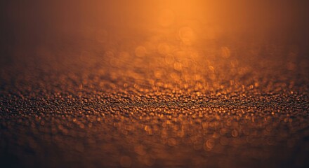 The image is a close up of a sandy surface with a lot of small dots