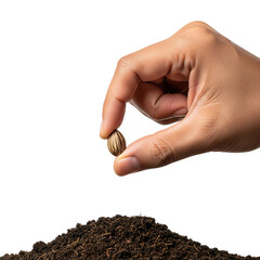 Hands, planting seeds or holding seedlings as a symbol of personal growth and hope Ideal for self -development or ecological campaigns. PNG transparent background.