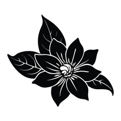 Jasmine silhouette vector illustration 