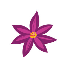 Fototapeta premium vector illustration of a lotus flower icons