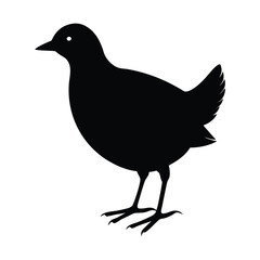Sora bird silhouette vector illustration 