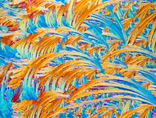 Detailed observation of colorful salicylic microcrystals under a microscope