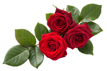 Naklejka premium three red roses isolated on transparent background 