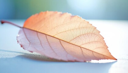 Macro Photograph Of A Red Autumn Leaf With Intricate Vein Patterns Backlit By Golden Light And Water Droplets