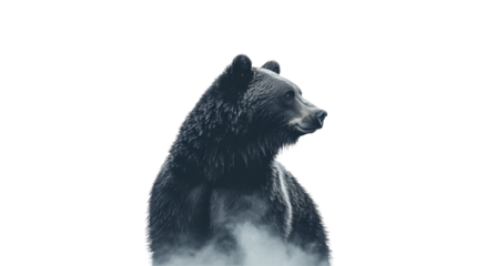 Majestic bear, shrouded in mist