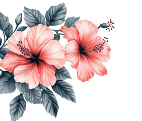 Delicate, pink hibiscus blossoms, dark grey leaves