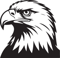 eagle head vector illustration