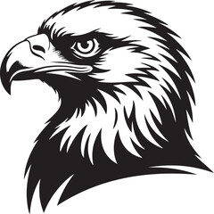 eagle head vector illustration