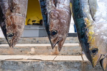 Fresh yellowfin tuna for sale on Maupiti island, French Polynesia