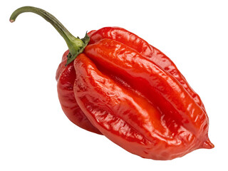 A single red habanero pepper with a green stem isolated against a black background in a studio shot