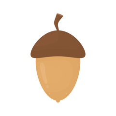 Acorn. Simple oak acorn