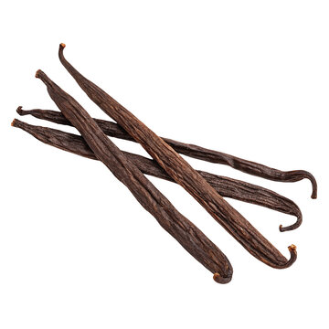 A detailed close up of several vanilla beans against a stark black background showing their texture detail