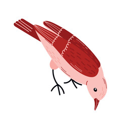 
Spring  birds  single element. Spring singing birds. Vector birds for postcards and t-shirts.
