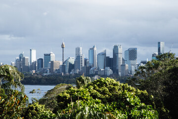 Sydney skyline rising above lush greenery and water