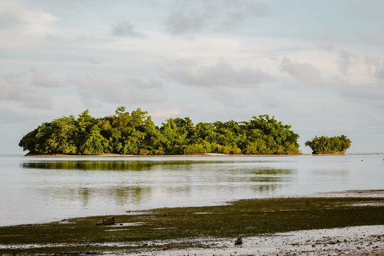 Tropical green island in the warm sunlight in the ocean in Asia
