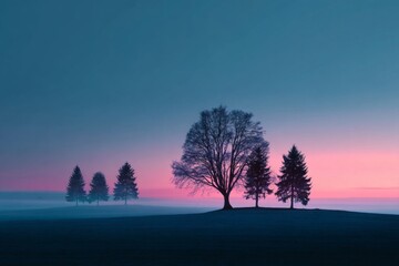 Minimalist landscape with silhouetted trees against a moody sky at dusk
