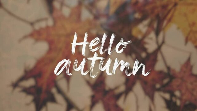 Text saying Hello Autumn in a warm, blurred background of autumn leaves. The scene captures the essence of fall with soft colors and a cozy atmosphere