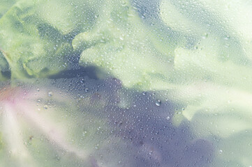 Close-Up Of Water droplets on the glass against the background of the green lettuce