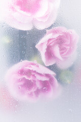 Bright beautiful bouquet of purple flowers arrangement behind a white matte glass blurry with water drops,soft focus,DOF- depth of field