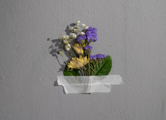 Yellow and purple flower attached to the white wall with tape. Creative concept flower
