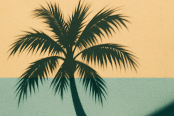 Palm Tree Silhouette Casting Shadow on Colorful Wall in Tropical Sunset Light
