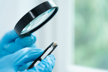 Scientist use magnifying glass to check physical occur from chemical on fruit and whole grains ...
