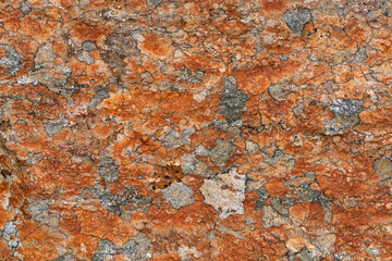 The rock surface displays intricate patterns of orange and gray hues, highlighting nature's artistry in a rugged outdoor setting during daylight.