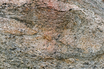 A close-up view captures the intricate details of a rock surface, showcasing natural textures and colors under soft sunlight.
