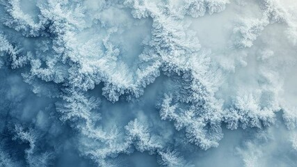 Aerial view of a serene winter forest covered with frost and gentle fog - Powered by Adobe