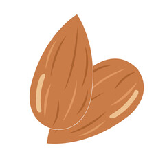 Obraz premium Almond icon vector, colorful almond icon vector in trendy flat style illustration isolated on white background.