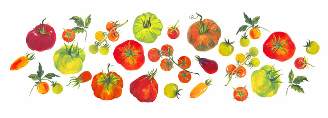 Set of isolated illustrations with farm tomatoes of different varieties and colors. Hand-painted in acrylic style, perfect for textiles, packaging, wallpaper, and summer-themed designs.