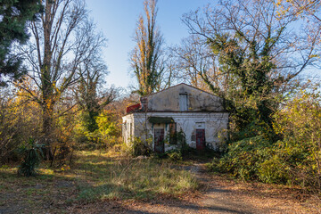 An abandoned house in the woods. An old abandoned stone house in the woods in the countryside.