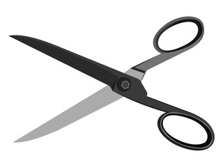 Black and silver scissors with round handles