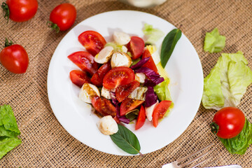 Delicious summer salad with leaves and mozzarella on the table