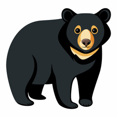 bear vector illustration