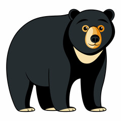 bear vector illustration