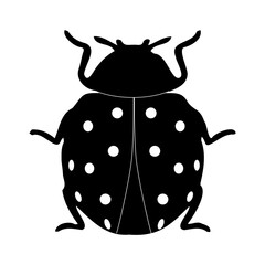 vector illustration of a beetle