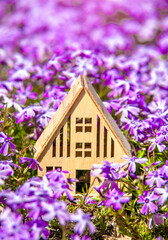 The symbol of the house on the background of purple flowers
