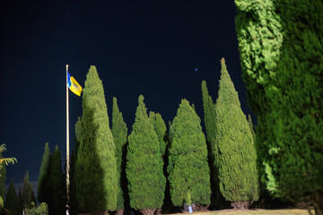 オーストラリア、キャンベラのシティー・ヒルではためく旗