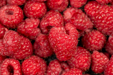 red raspberries background
